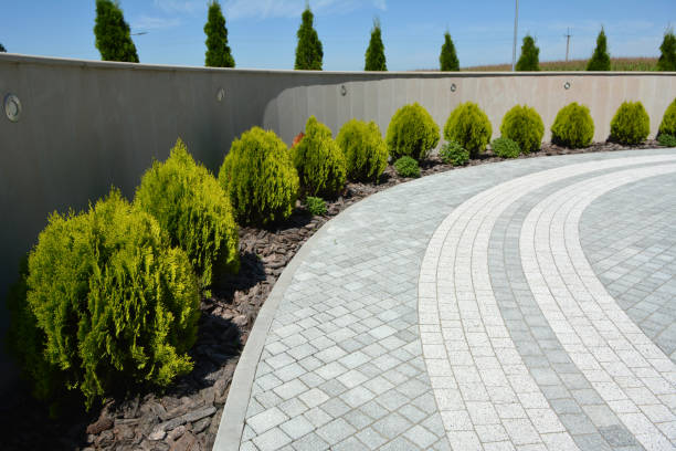 Best Local Driveway Pavers  in Castlewood, VA